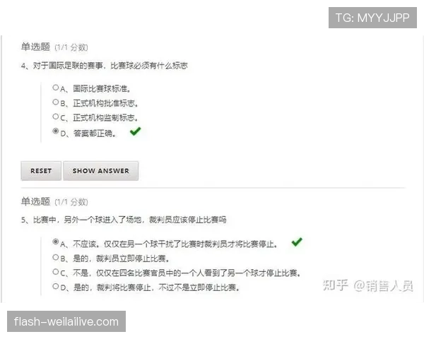 足球判罚标准详解：关键规则与裁判执行原则解析