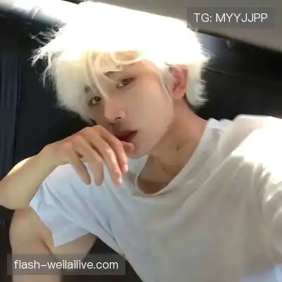 晏清飚